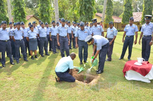දැයට සෙවණ ජාතික රුක් රෝපණ වැඩසටහන