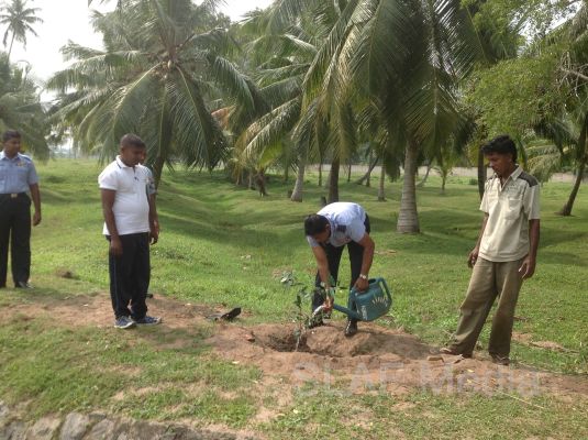 දැයට සෙවණ ජාතික රුක් රෝපණ වැඩසටහන