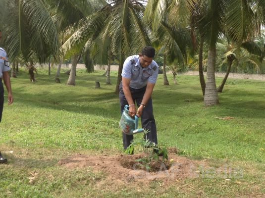දැයට සෙවණ ජාතික රුක් රෝපණ වැඩසටහන