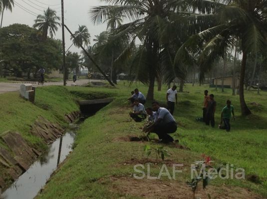 දැයට සෙවණ ජාතික රුක් රෝපණ වැඩසටහන