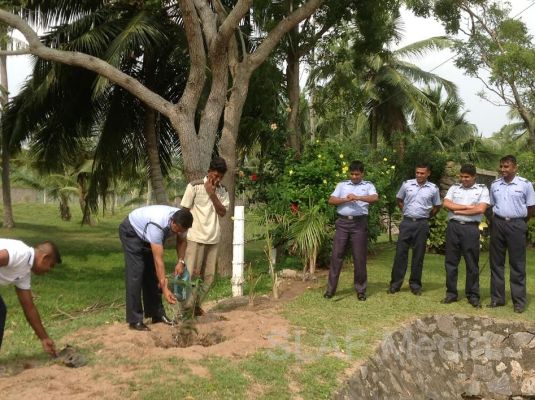 දැයට සෙවණ ජාතික රුක් රෝපණ වැඩසටහන
