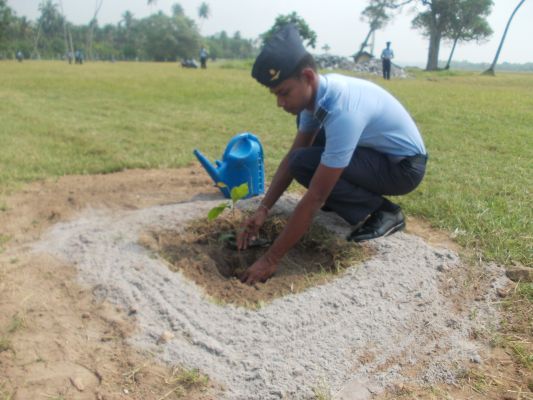 දැයට සෙවණ ජාතික රුක් රෝපණ වැඩසටහන