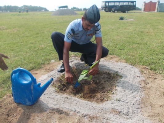 දැයට සෙවණ ජාතික රුක් රෝපණ වැඩසටහන