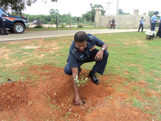 දැයට සෙවණ ජාතික රුක් රෝපණ වැඩසටහන