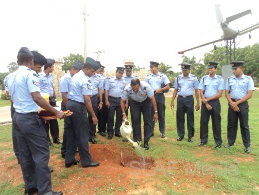 දැයට සෙවණ ජාතික රුක් රෝපණ වැඩසටහන