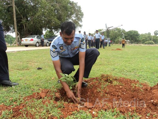 දැයට සෙවණ ජාතික රුක් රෝපණ වැඩසටහන