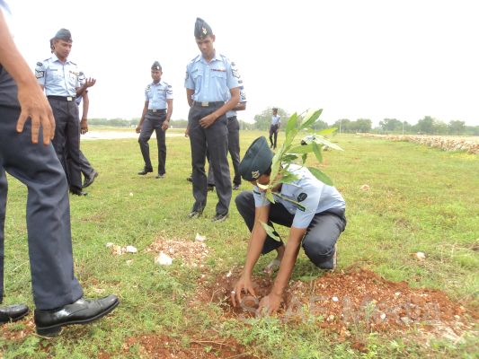 දැයට සෙවණ ජාතික රුක් රෝපණ වැඩසටහන