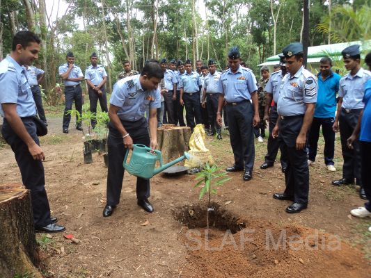 දැයට සෙවණ ජාතික රුක් රෝපණ වැඩසටහන