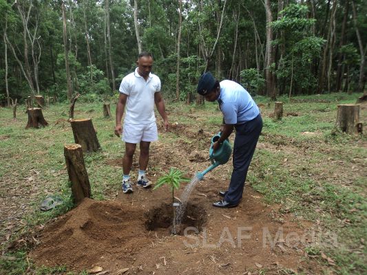 දැයට සෙවණ ජාතික රුක් රෝපණ වැඩසටහන