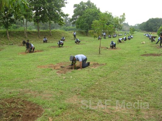 දැයට සෙවණ ජාතික රුක් රෝපණ වැඩසටහන