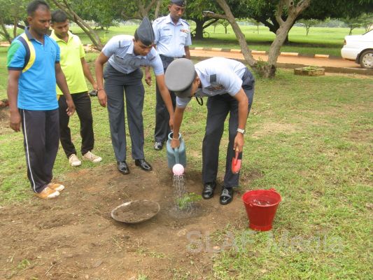 දැයට සෙවණ ජාතික රුක් රෝපණ වැඩසටහන
