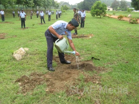 දැයට සෙවණ ජාතික රුක් රෝපණ වැඩසටහන