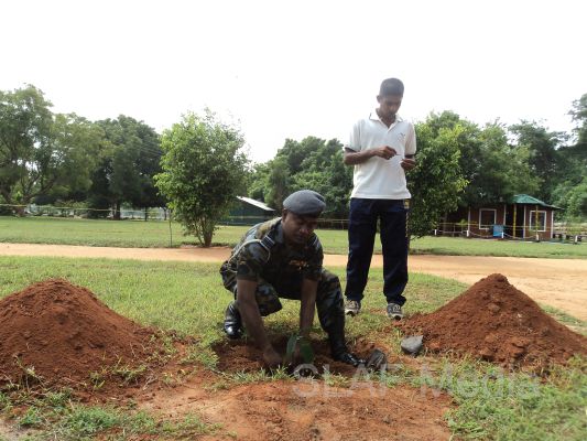 දැයට සෙවණ ජාතික රුක් රෝපණ වැඩසටහන