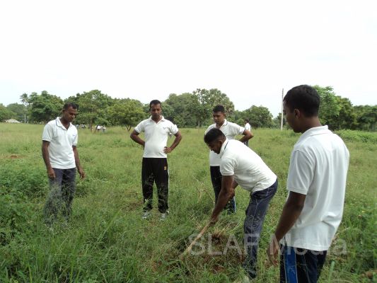 දැයට සෙවණ ජාතික රුක් රෝපණ වැඩසටහන
