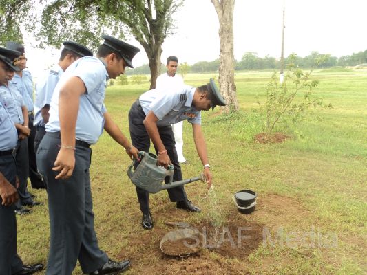දැයට සෙවණ ජාතික රුක් රෝපණ වැඩසටහන