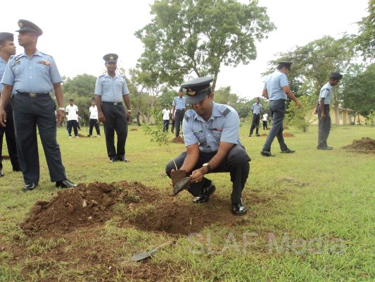 දැයට සෙවණ ජාතික රුක් රෝපණ වැඩසටහන