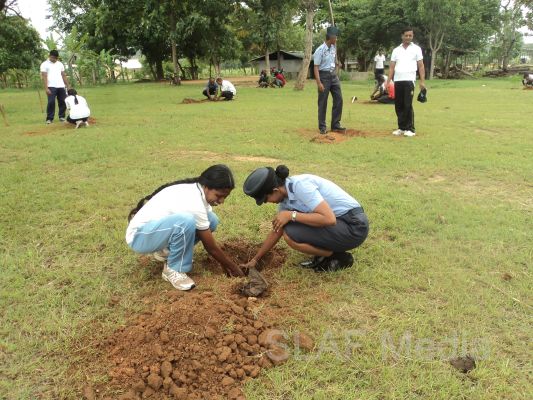 දැයට සෙවණ ජාතික රුක් රෝපණ වැඩසටහන