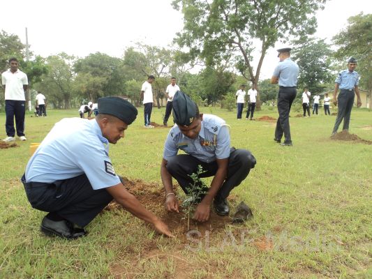 දැයට සෙවණ ජාතික රුක් රෝපණ වැඩසටහන