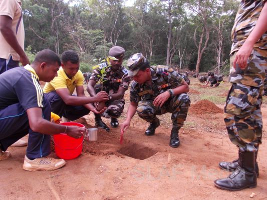 දැයට සෙවණ ජාතික රුක් රෝපණ වැඩසටහන