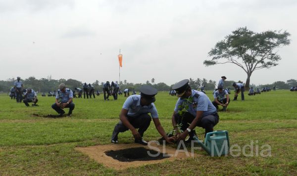 දැයට සෙවණ ජාතික රුක් රෝපණ වැඩසටහන