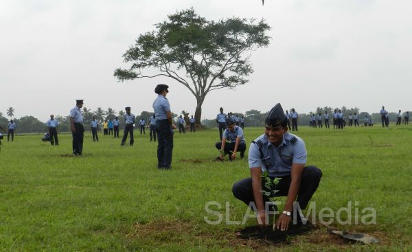 දැයට සෙවණ ජාතික රුක් රෝපණ වැඩසටහන