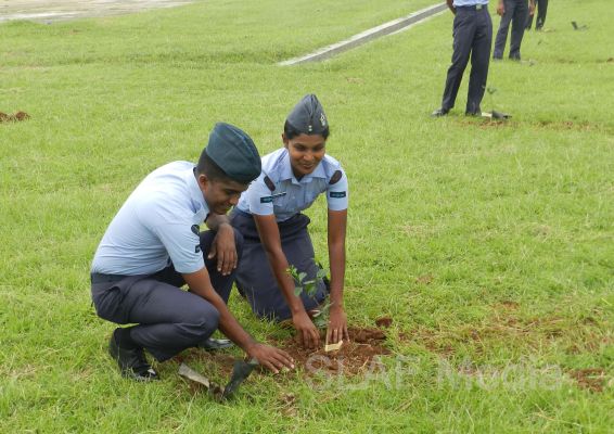 දැයට සෙවණ ජාතික රුක් රෝපණ වැඩසටහන