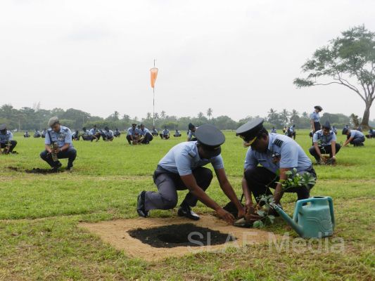 දැයට සෙවණ ජාතික රුක් රෝපණ වැඩසටහන