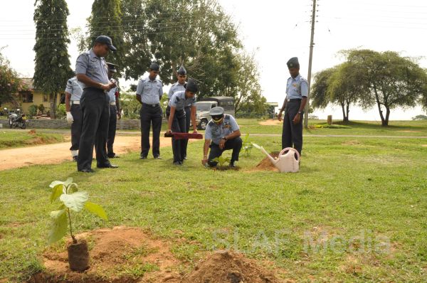 දැයට සෙවණ ජාතික රුක් රෝපණ වැඩසටහන
