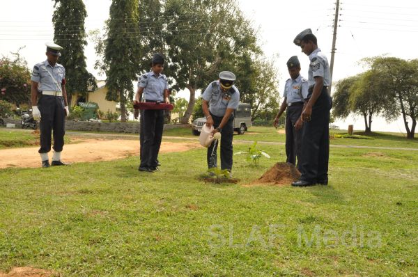 දැයට සෙවණ ජාතික රුක් රෝපණ වැඩසටහන