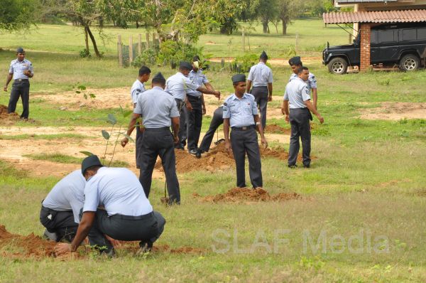 දැයට සෙවණ ජාතික රුක් රෝපණ වැඩසටහන