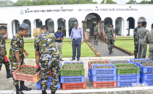 THE 8TH
SEED BOMBING MISSION COMPLETED IN LABUGASDAMANA