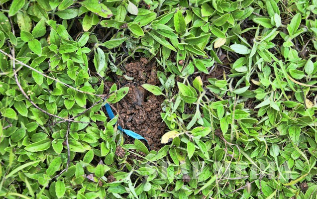 SLAF Conducts First Ever Areal Seed Bombing Operation