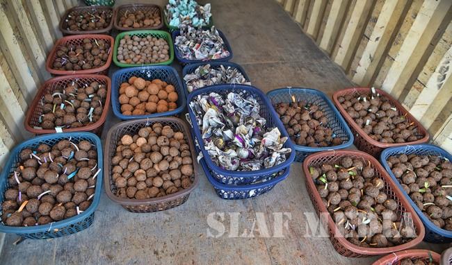 SLAF Conducts First Ever Areal Seed Bombing Operation