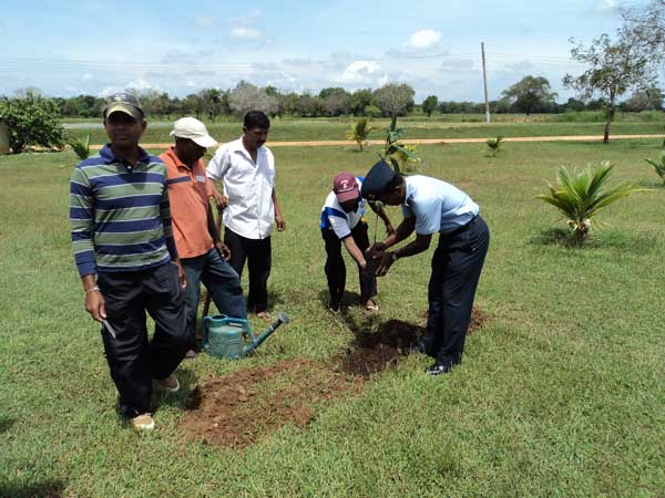 26th Formation Day Celebrated at SLAF Sigiriya