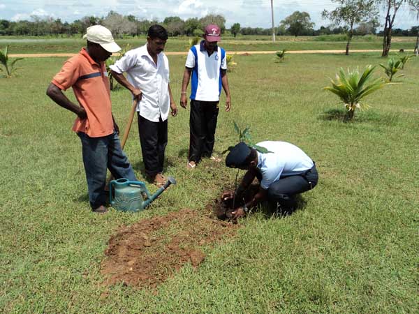 26th Formation Day Celebrated at SLAF Sigiriya