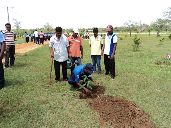 26th Formation Day Celebrated at SLAF Sigiriya