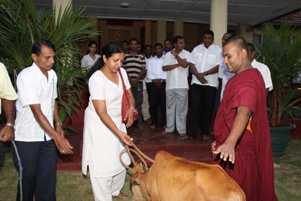 SLAF Station Colombo Celebrate Vesak SLAF Station Colombo Celebrate Vesak