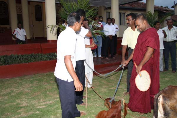 SLAF Station Colombo Celebrate Vesak SLAF Station Colombo Celebrate Vesak