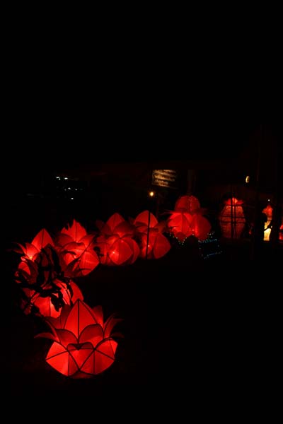 SLAF Station Colombo Celebrate Vesak SLAF Station Colombo Celebrate Vesak