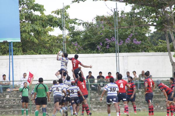 SLAF qualified to play in the semi finals in the Clifford cup