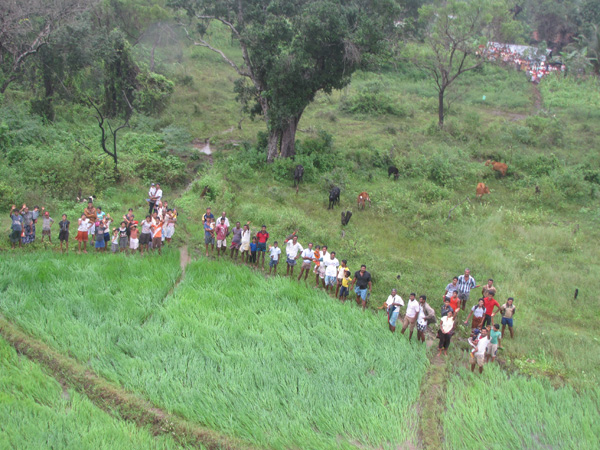 ගුවන් හමුදාව දිගටම සහන සේවා වල