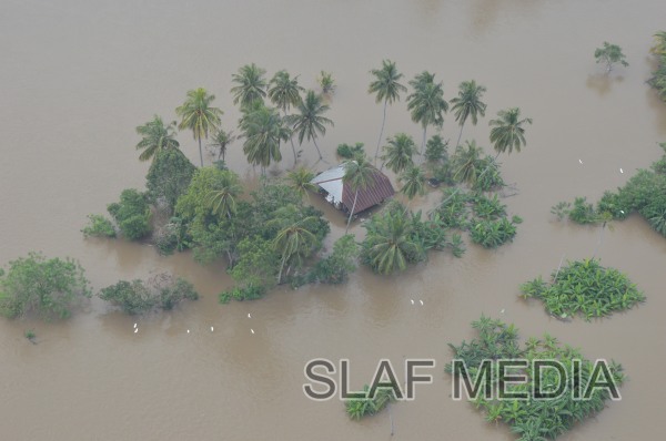 SLAF on
Standby