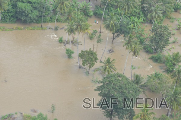 SLAF on
Standby