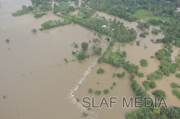 SLAF on
Standby