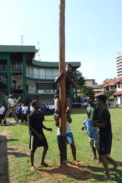 කොළඹ කදවුරේ බක් මහ උළෙල මහත් ඉහලින් කොළඹ කදවුරේ බක් මහ උළෙල මහත් ඉහලින්
