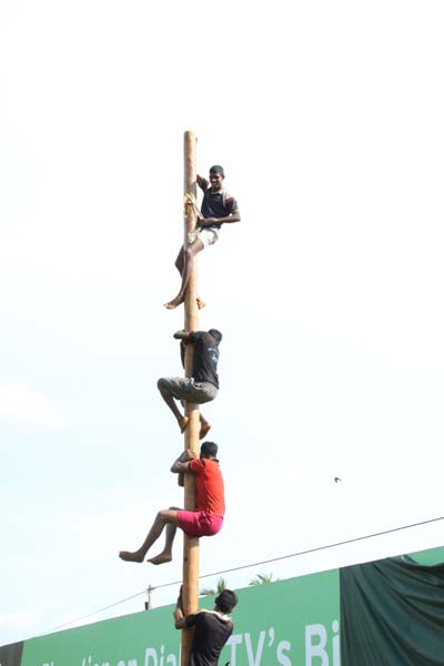 කොළඹ කදවුරේ බක් මහ උළෙල මහත් ඉහලින් කොළඹ කදවුරේ බක් මහ උළෙල මහත් ඉහලින්
