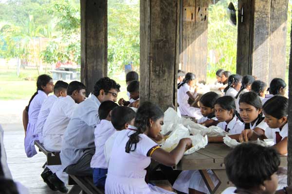 Students from Mannar Visit SLAF Museum