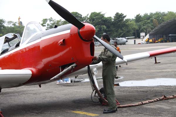 The Tiger Moth and Chipmunk Take to the Skies This Saturday