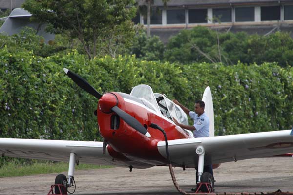 The Tiger Moth and Chipmunk Take to the Skies This Saturday