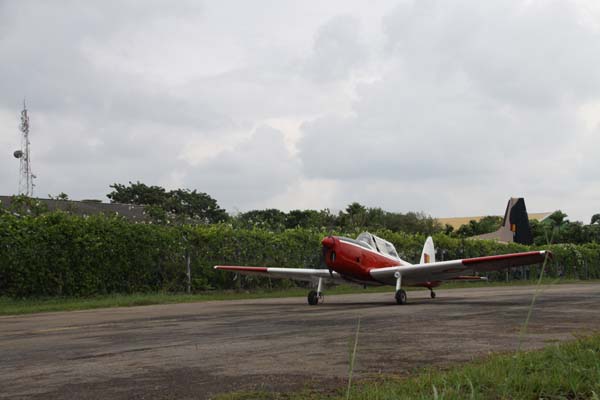 The Tiger Moth and Chipmunk Take to the Skies This Saturday
